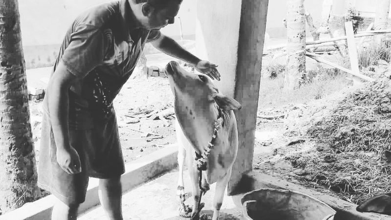 An initiated devotee from kolkata looking for a devotee girl